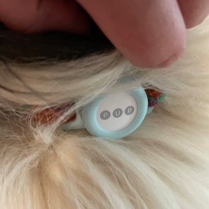 Heidi added a photo of their purchase