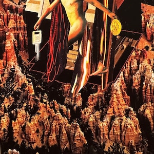 Tim ha aggiunto una foto del proprio acquisto