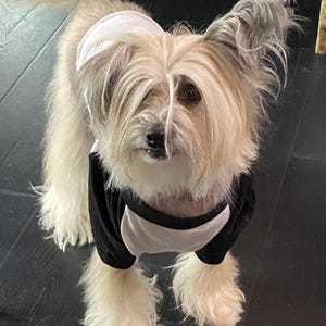 Angie added a photo of their purchase