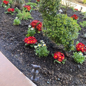 Susan added a photo of their purchase