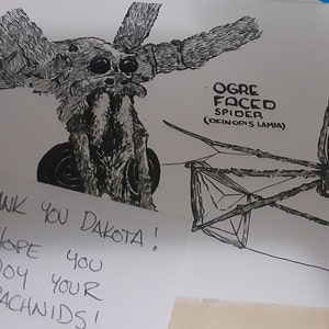 Official ha añadido una foto de su compra
