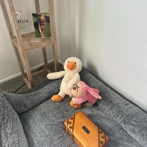 Kacey added a photo of their purchase