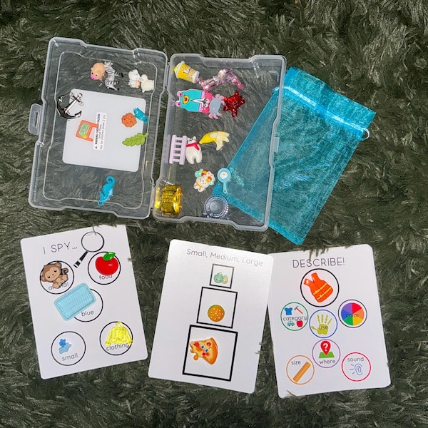 LANGUAGE Task Box With Mini Objects Speech Therapy Activity Box ...