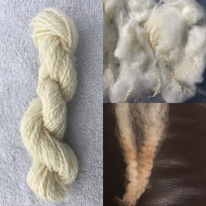 UNICORN POWER SCOUR Wool Fleece Degreaser Wool Wash Unicorn Wash Raw ...