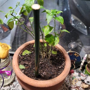 Sylvia added a photo of their purchase