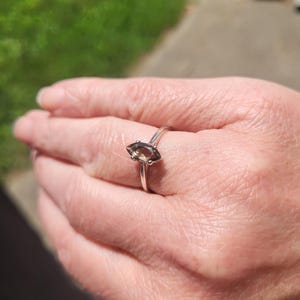 Virginia added a photo of their purchase