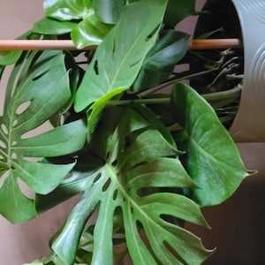 Brenda added a photo of their purchase