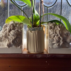 Jesse dodał(a) zdjęcie swoich zakupów