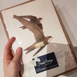 Carole a ajouté une photo de son achat