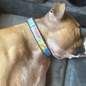 Molly added a photo of their purchase