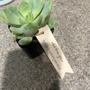 Janet added a photo of their purchase