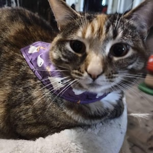 Shleelee added a photo of their purchase