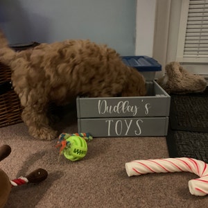 Emma added a photo of their purchase