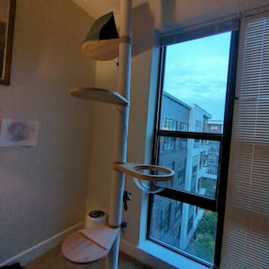 Adam added a photo of their purchase
