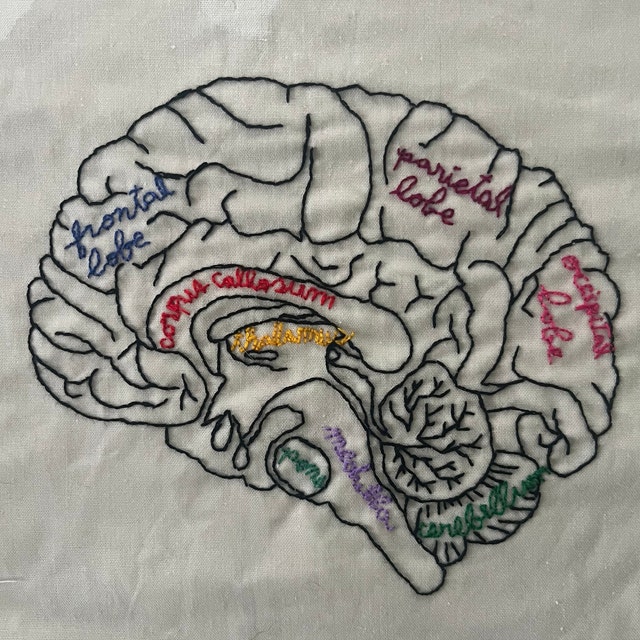 DIY Brain Embroidery Pattern, Brain Anatomy Embroidery Pattern, Neurology  Embroidery, Neurologist Pattern, Anatomical Brain, Brain Pattern 