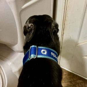 David added a photo of their purchase