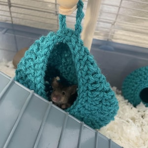 Pontology added a photo of their purchase