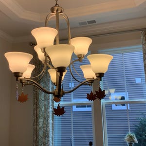 Veronica added a photo of their purchase