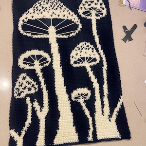 Kat added a photo of their purchase