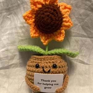 Cute 3PCS Plants,Thank You For Helping Me Grow,Crochet Sunflowers/Hearts/Rose Plants,Emotional Support Crochet,Thank You Gift,Teacher Gift