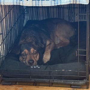 Alley added a photo of their purchase