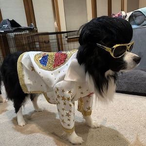 Elvis costumes for dogs hotsell