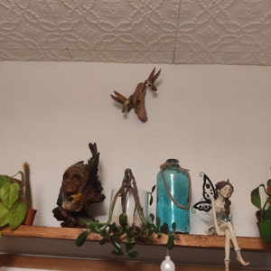 Kevin ha añadido una foto de su compra