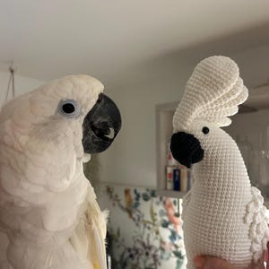 Janina さんが購入した商品の写真を追加しました