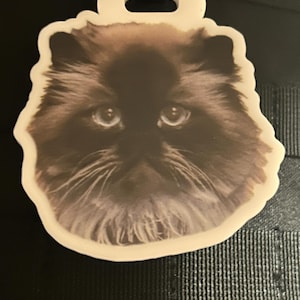 Jennifer added a photo of their purchase
