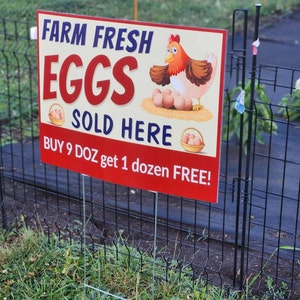 Ruth added a photo of their purchase