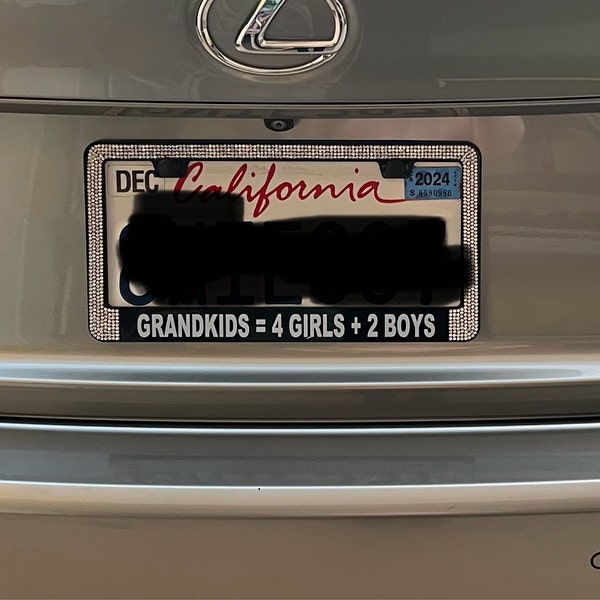 JR2 Crystal License Plate Frames - 2 Pack With Leopard Design & Free Crystal Caps | Weather Resistant Bling Frames