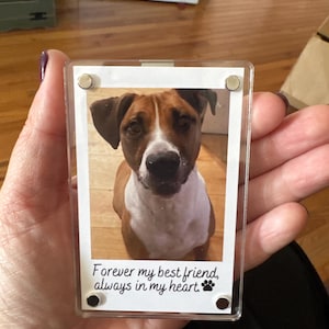 Personalized Dog Sympathy Gift, Pet Loss Memorial, Custom Dog Photo Car Visor Clip, Pet Remembrance Keepsake, Dog Memorial Gift for Car