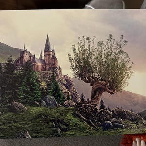 Caitlin added a photo of their purchase