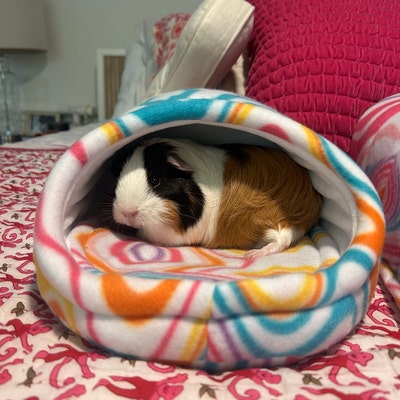 Curated visual reference: Customizable Guinea Pig Cages With Fleece Option Reference: Customizable Guinea Pig Hideout Fleece Animal Accessories Washable Pet