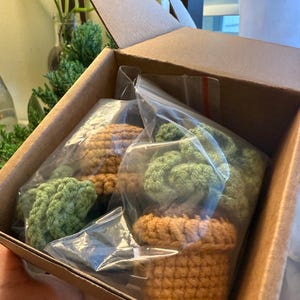 Alexis さんが購入した商品の写真を追加しました