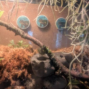 Christine added a photo of their purchase