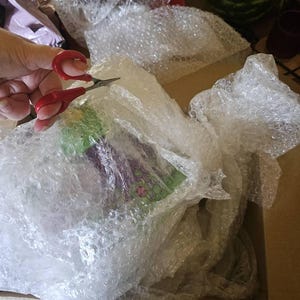 Desiree added a photo of their purchase
