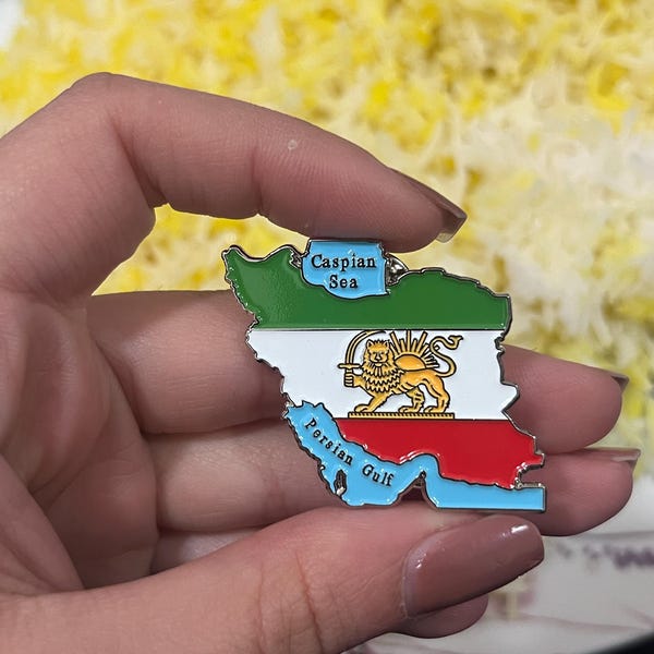 Iran Flag Pin - Persian Pin - Shir O Khorshid - Enamel - Etsy