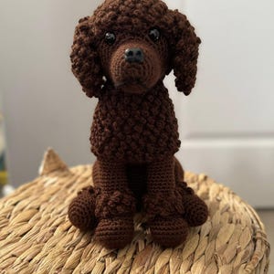 PATTERN (english Only): Poodle Puppy - Crochet Dog, Crochet Puppy