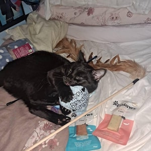 Aimee added a photo of their purchase