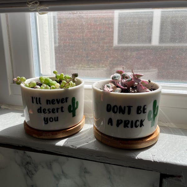 Succulent Planters - Cute Plant Pots, Small Flower Pots, Funny Unique ...