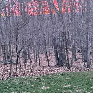 Georgie ha añadido una foto de su compra