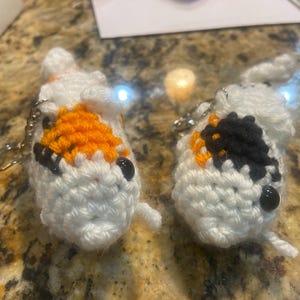 Kaitlyn added a photo of their purchase