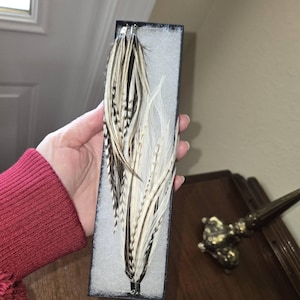 Gina added a photo of their purchase