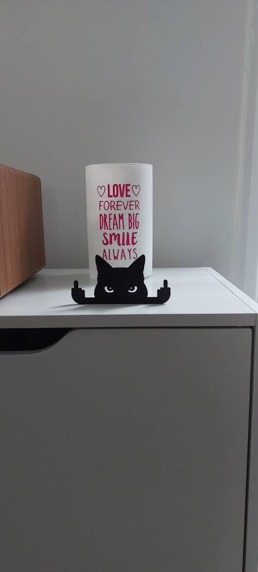 Novelty Cat Ornament Or Display On Door Or Wall