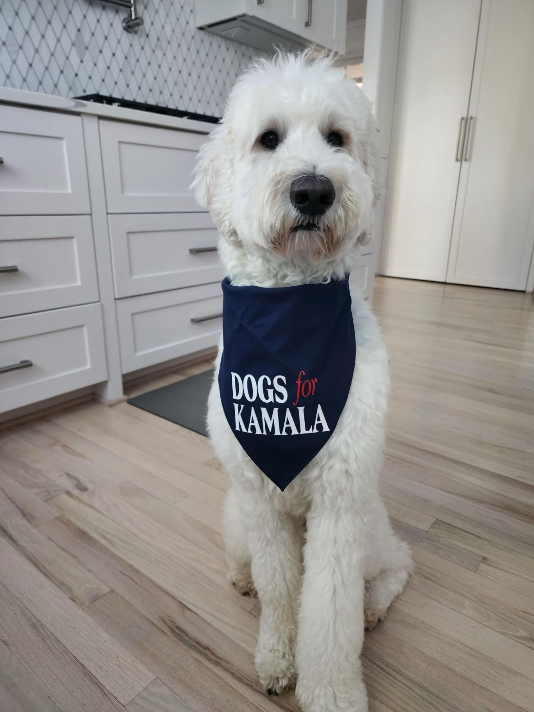 Dogs For Kamala Tie-On Dog Bandana | kamala dog bandana | dog mom for kamala | kamala dog clothes | kamala dog shirt | kamala for president