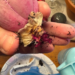 Caitlin hat ein Foto des gekauften Artikels hinzugefügt