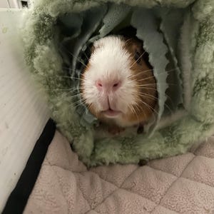 Mia added a photo of their purchase