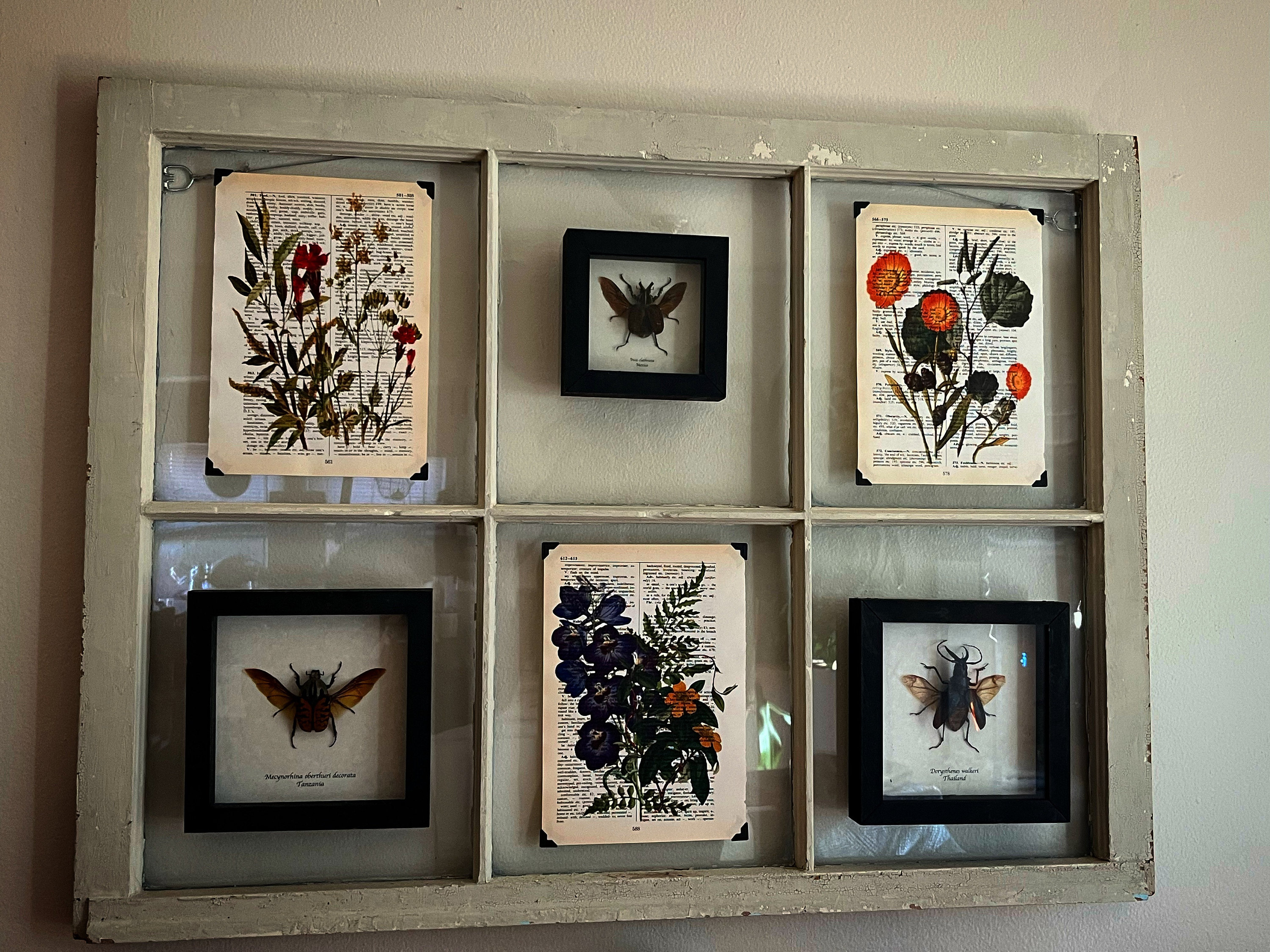 Flower Themed dictionary prints