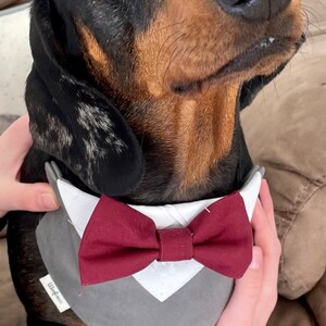 Larissa added a photo of their purchase